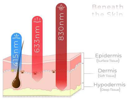 Skin and Hair Bundle